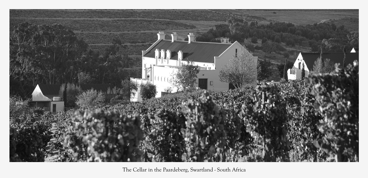 Cellar Paardeberg Sadie Family Wines