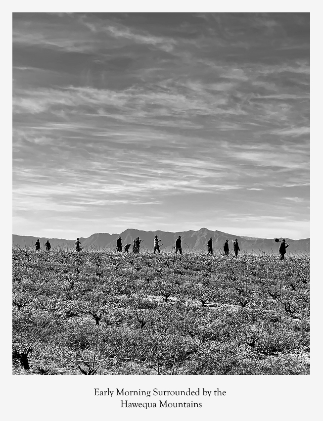 Hawequa Mountains Sadie Family Wines