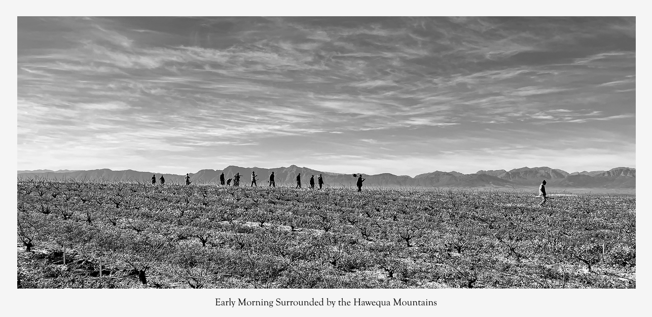 Hawequa Mountains Sadie Family Wines