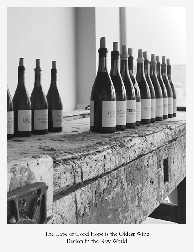 Oldest Wine Region Sadie Family Wines