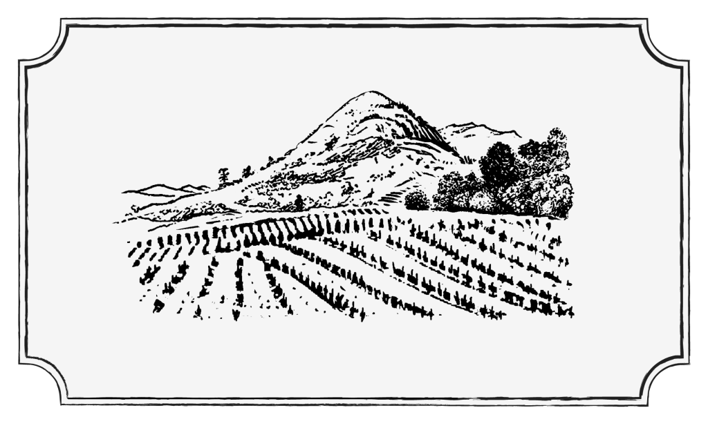 The Sadie Family Wines - Eben Release Notes